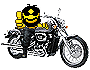 biker03